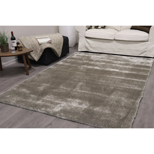 Deboer Grey/Silver Area Rug