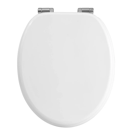 Agy Soft Close Elongated Toilet Seat