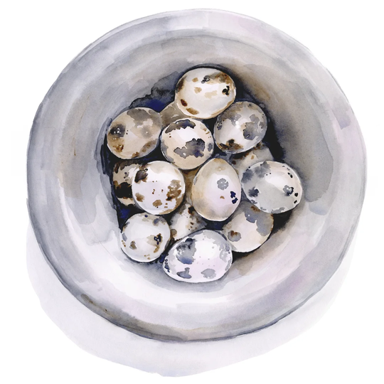 Quail Egg Study I by Jennifer Paxton Parker - Wrapped Canvas Painting