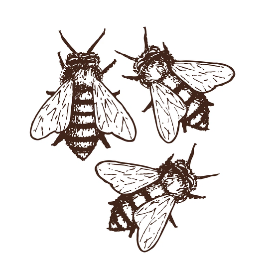 Honey Bees - Wrapped Canvas Graphic Art