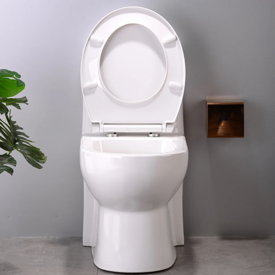 White Toilet Lid