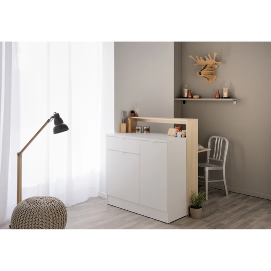 1 - Door Cabinet
