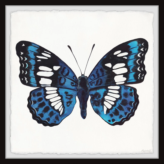 Dazzling Wings - Picture Frame Painting