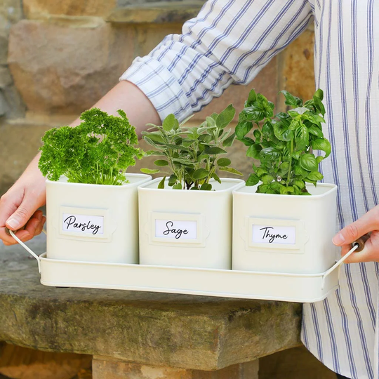 Cockerham 3 Piece Metal Plant Pot Set