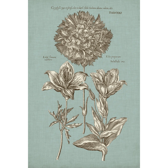 Chambray Chintz IV - Wrapped Canvas Painting