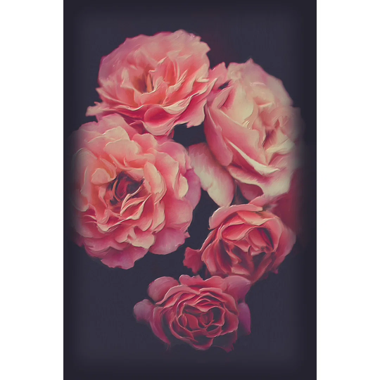 Kiss From A Rose - Wrapped Canvas Graphic Art