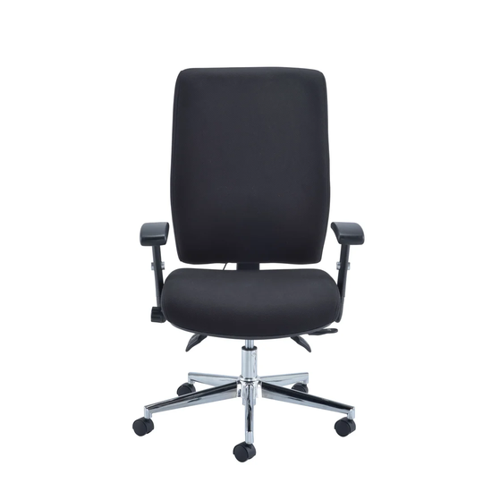 Caracal Ergonomic Desk Chair