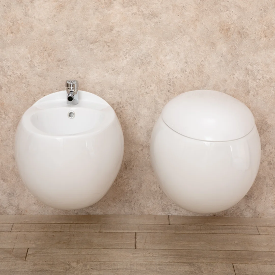 Banerjee Wall Hung Toilets with Soft Close Seat