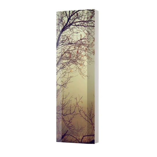 Havalah 45Cm W x 145Cm H x 18Cm D Wall Mounted Bathroom Cabinet