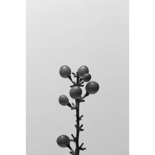 Liriope II by Renée W. Stramel - Wrapped Canvas Photograph