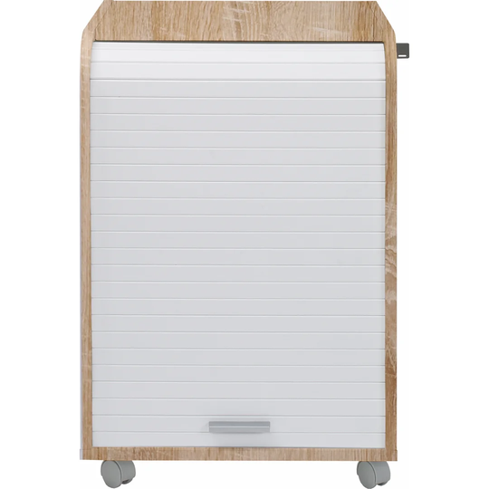 Aszia 2 -Drawer 2 -Shelf Storage Cabinet