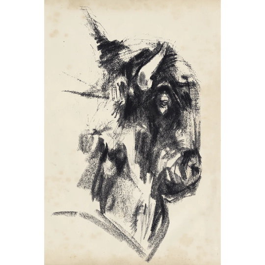 Bison Head Gesture I by Jennifer Paxton Parker - Wrapped Canvas Drawing