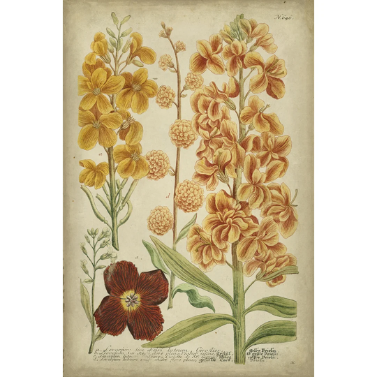 Weinmann Tropical Floral I - Wrapped Canvas Painting