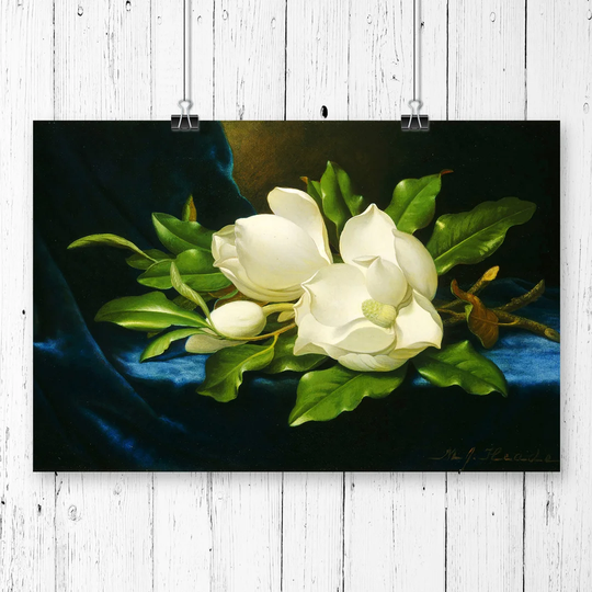 'Giant Magnolias' by Martin Johnson Heade Graphic Art