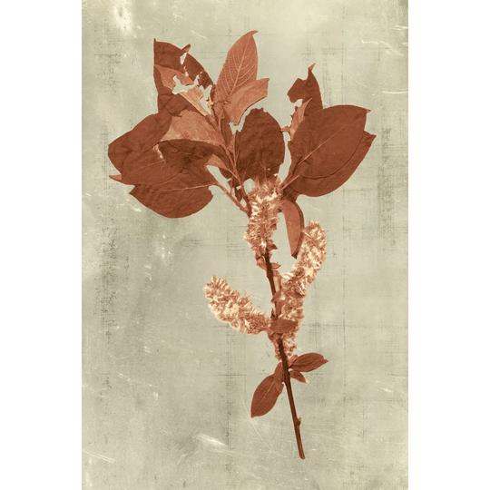 Impressions in Terra Cotta by Vision Studio - Wrapped Canvas Painting
