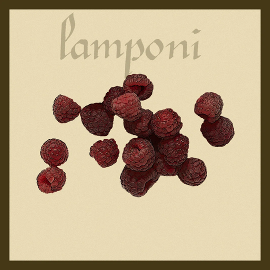 Italian Fruit III - Wrapped Canvas Painting