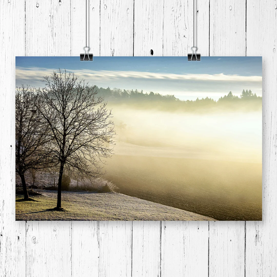 "Landscape Winter Forest Wood" by Banksy Graphic Art