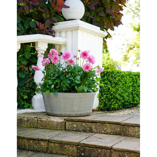 Outdoor Matlock Oval Planter H28cm W48.50Cm