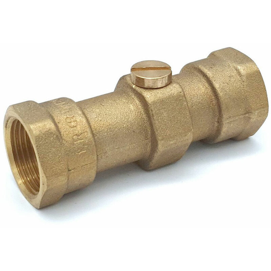 3/4 fbsp Floguard Double Check Valve
