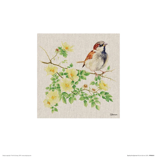 'Sparky the Sparrow' Painting on Wrapped Canvas